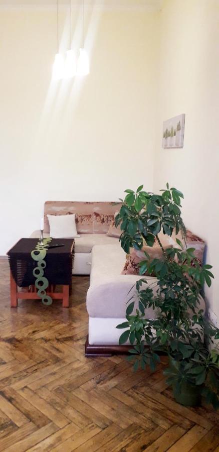 Apartment Ratusha